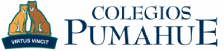 Colegios Pumahue